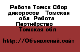 Работа Томск-Сбор дикоросов - Томская обл. Работа » Партнёрство   . Томская обл.